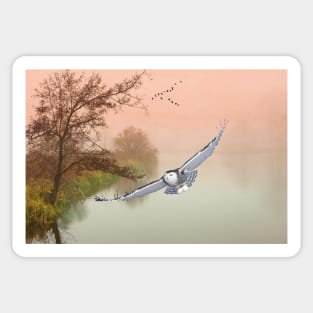 Snowy Owl in Flight Sticker